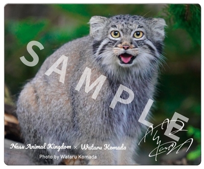 【駒田航×マヌルネコ】マウスパッド笑顔