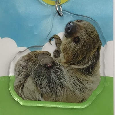 【original】ナマケモノBABYアクリルキーホルダー 親子