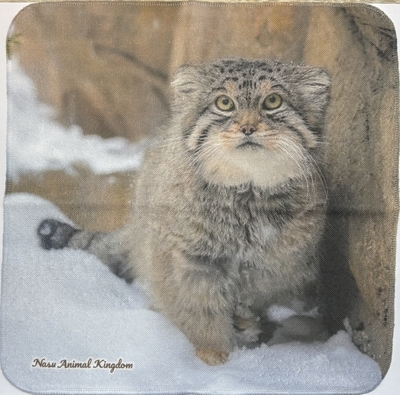 【Original】ガーゼハンドタオル レフ雪上