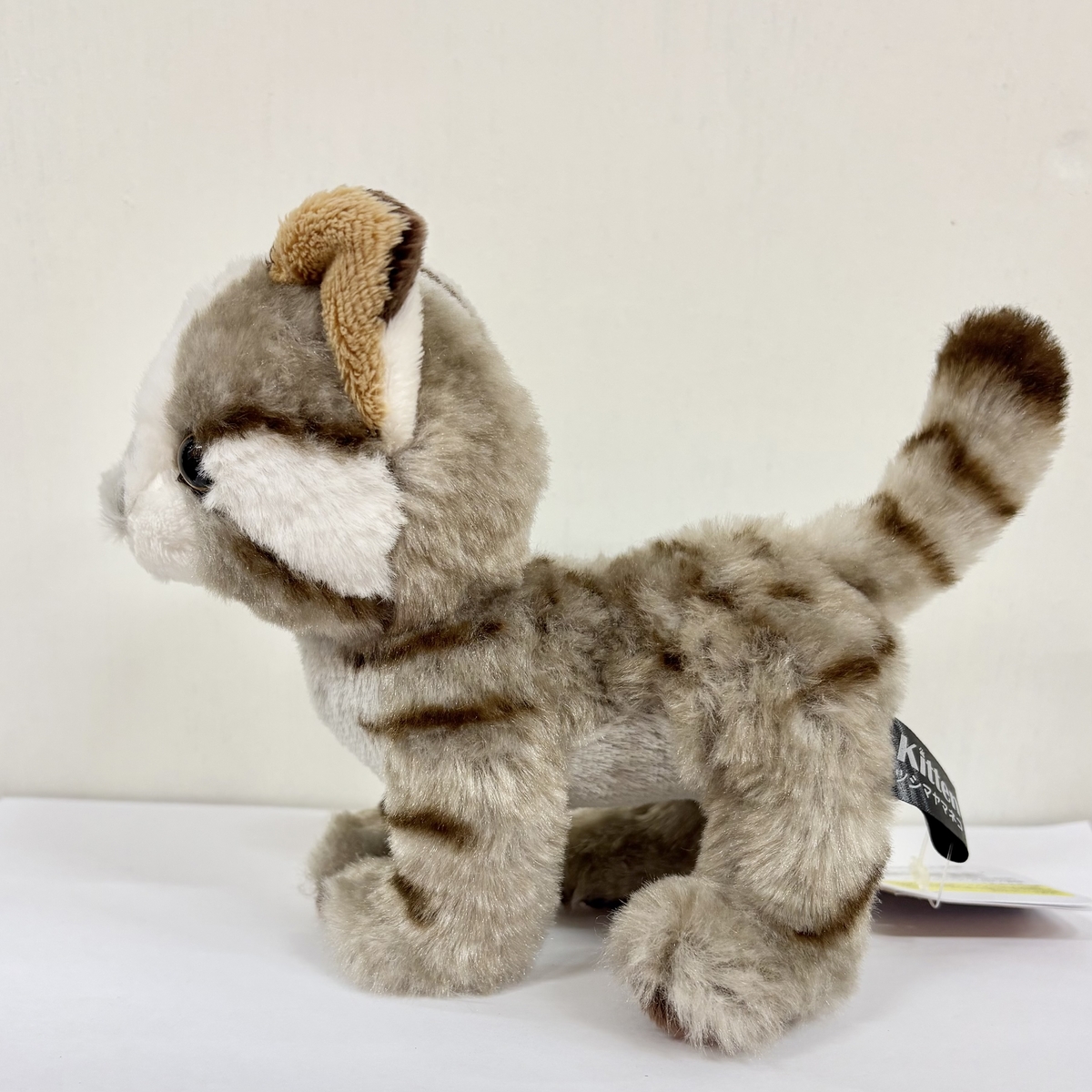 Original】キトン つしまやまねこ 売上の一部が寄付されます | 那須