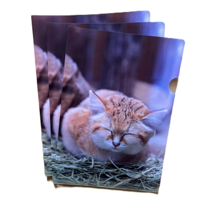 クリアファイル3枚set スナネコ 丸まり 【original】3枚setで20%OFF