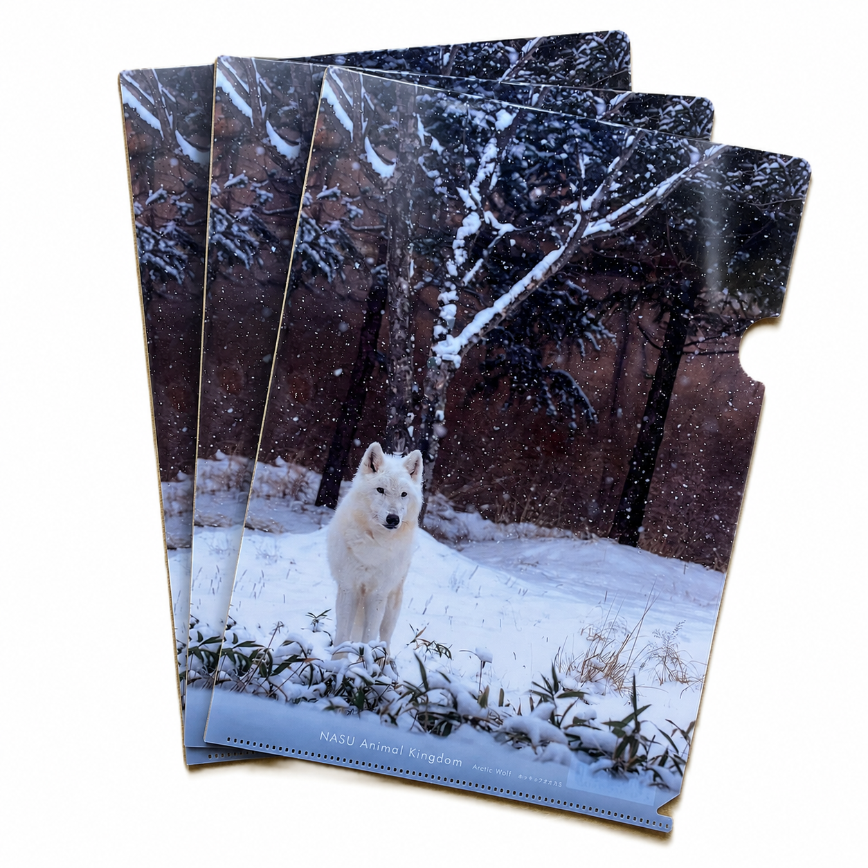 クリアファイル3枚set オオカミ雪上 【original】3枚setで20%OFF