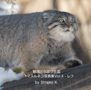 【Original】再編版 マヌルネコ写真集vol.4