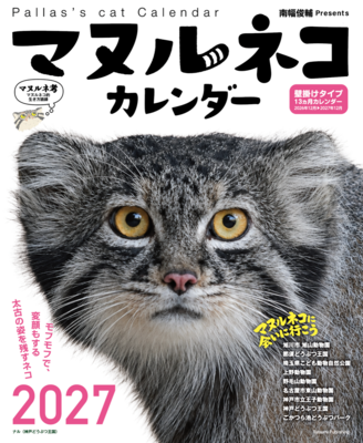 マヌルネコカレンダー2027 壁掛けタイプ　13か月カレンダー 2026年12月～2027年12月