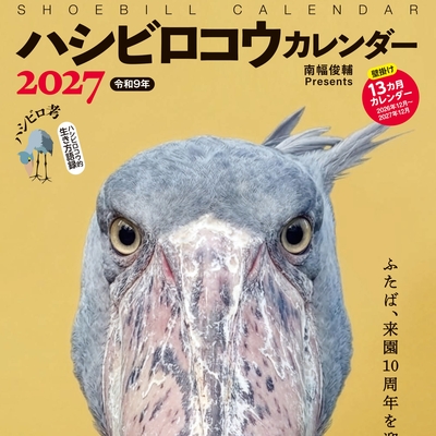 ハシビロコウカレンダー2027令和9年 壁掛けタイプ　13か月カレンダー 2026年12月～2027年12月