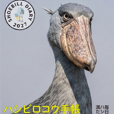 ハシビロコウ手帳2027令和9年 自由に使える方眼ページ　イラストシール付き
