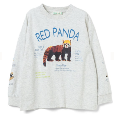 BEAMS mini &times;どうぶつ王国【Original】大人サイズ ロングスリーブTシャツ レッサーパンダ