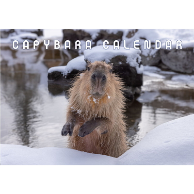 【Original】Capybara Calendar 2027年版 カピバラカレンダー那須どうぶつ王国 /神戸どうぶつ王国