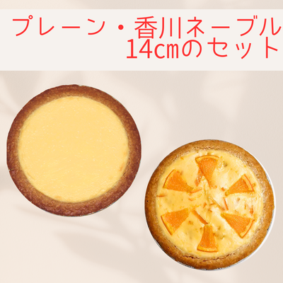 プレーン・香川ネーブル　14センチ2台セット　