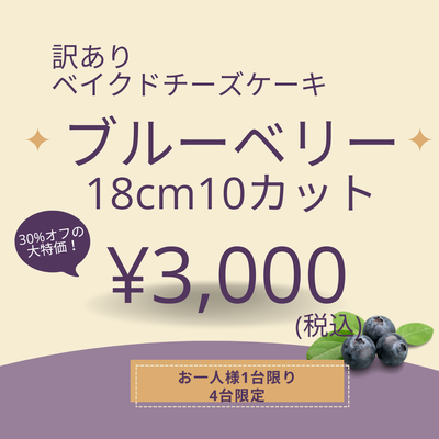 大特価！訳ありベイクドチーズケーキブルーベリー18cm10カット