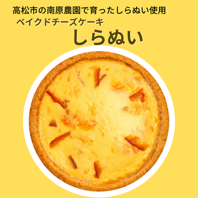 【季節限定4～5月頃】ベイクドチーズケーキ しらぬい