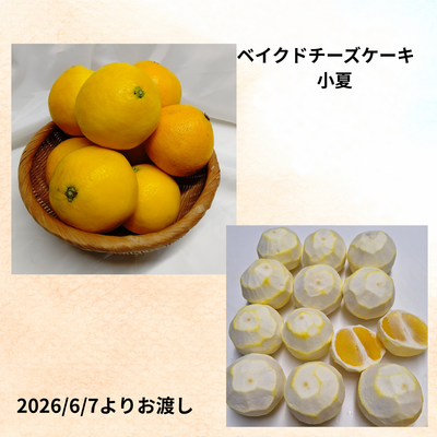 【季節限定6月～7月頃】ベイクドチーズケーキ小夏
