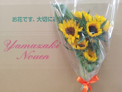 季節限定商品!!爽やかな大輪のひまわり花束(７本)