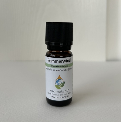 夏の風 (Sommerwind)