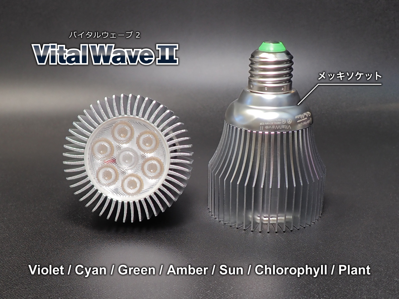 BlueHarbor VitalWaveⅡ Chlorophyll/クロロフィル (9W) | NMC