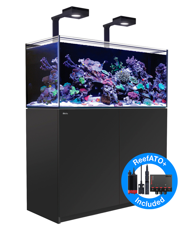 RedSea REEFER G3＋ 350 DX (ReefLED115*2) BK ﾌﾗﾝｼﾞ付き | NMC