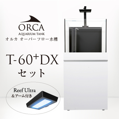 ORCA-T 60＋DXセット 白