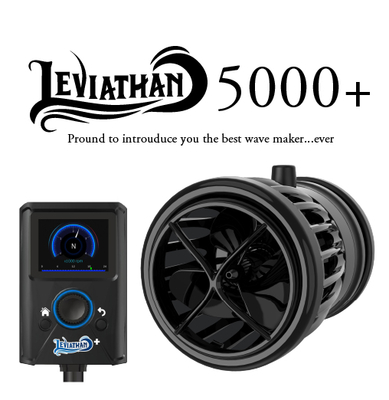 ZOOX リヴァイアサン 5000＋