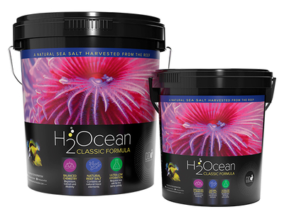 DD H2Oceanクラシックフォーミュラ ソルト 23Kg 　11月出荷予定【予約受付中】