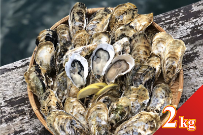 森のめぐみ牡蠣2kg（20~26個）