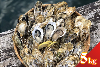 森のめぐみ牡蠣5kg（50~60個）