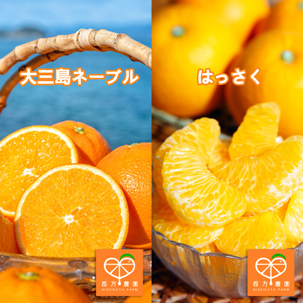 はっさくと大三島ネーブルのセット（送料込） | 西方農園WEBSHOP