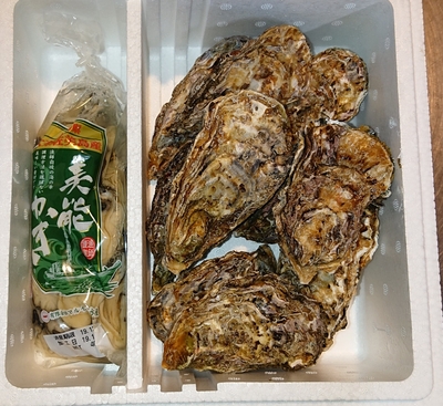 生食用むき身500ｇ + 殻付き1Kg（約10個）