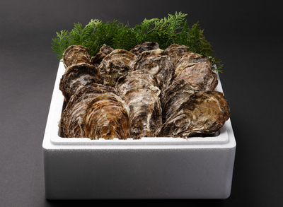 美能牡蠣殻付きカキ20個Mサイズ