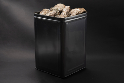 加熱用殻付き牡蠣カキ　10Kg　送料別途