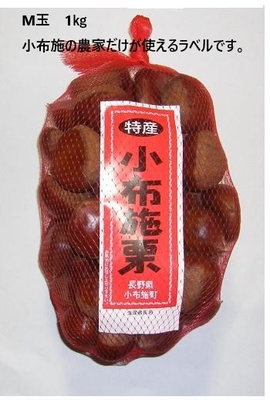 信州　小布施栗　早生種　M玉