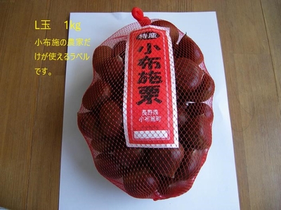 信州　小布施栗　早生種　3L玉