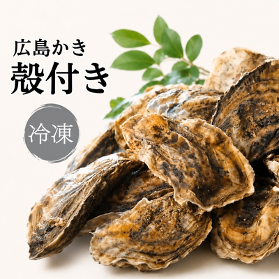 【送料無料】冷凍殻付かき