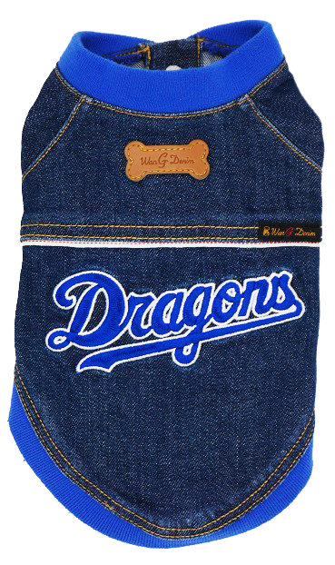 【美品】中日ドラゴンズ スタジャン 2025年最新】ドラゴンズ スタジャンの人気アイテム - メルカリ