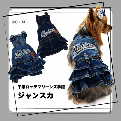 千葉ロッテマリーンズ　ジャンスカ