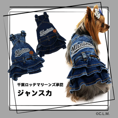 千葉ロッテマリーンズ　ジャンスカ