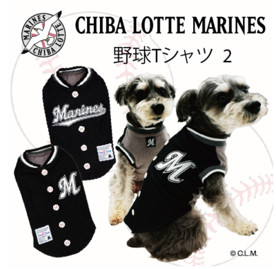千葉ロッテマリーンズ承認　野球Tシャツ２