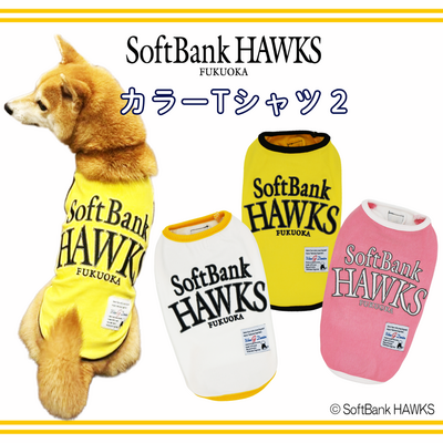ホークス承認カラーTシャツ２