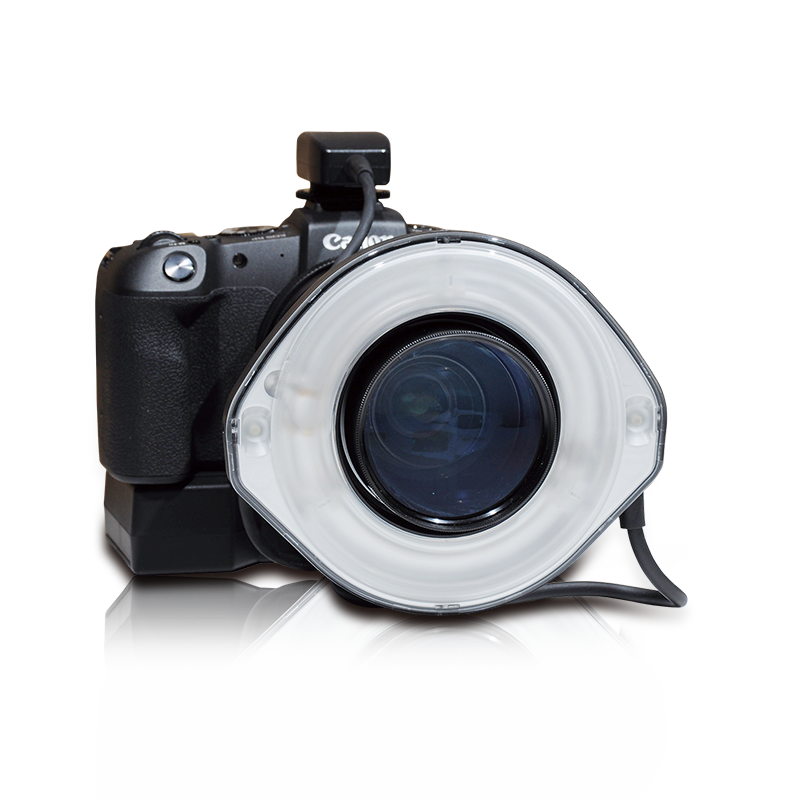Canon_EOS_RP_リング右
