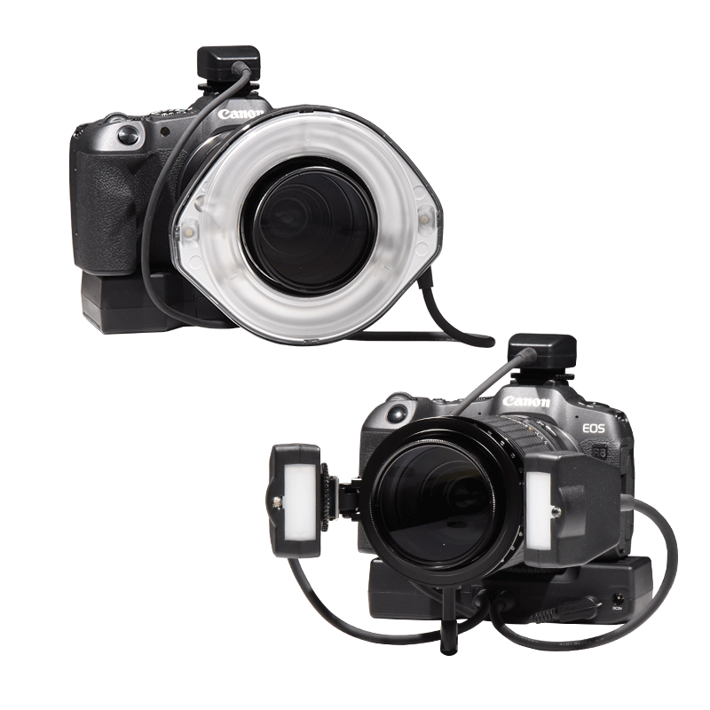 Canon EOS R8 仕様 DCCM9-PRO | ソニックテクノ