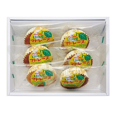 日向夏マドレーヌ | お菓子の日高