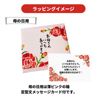 ギフトA【送料込】