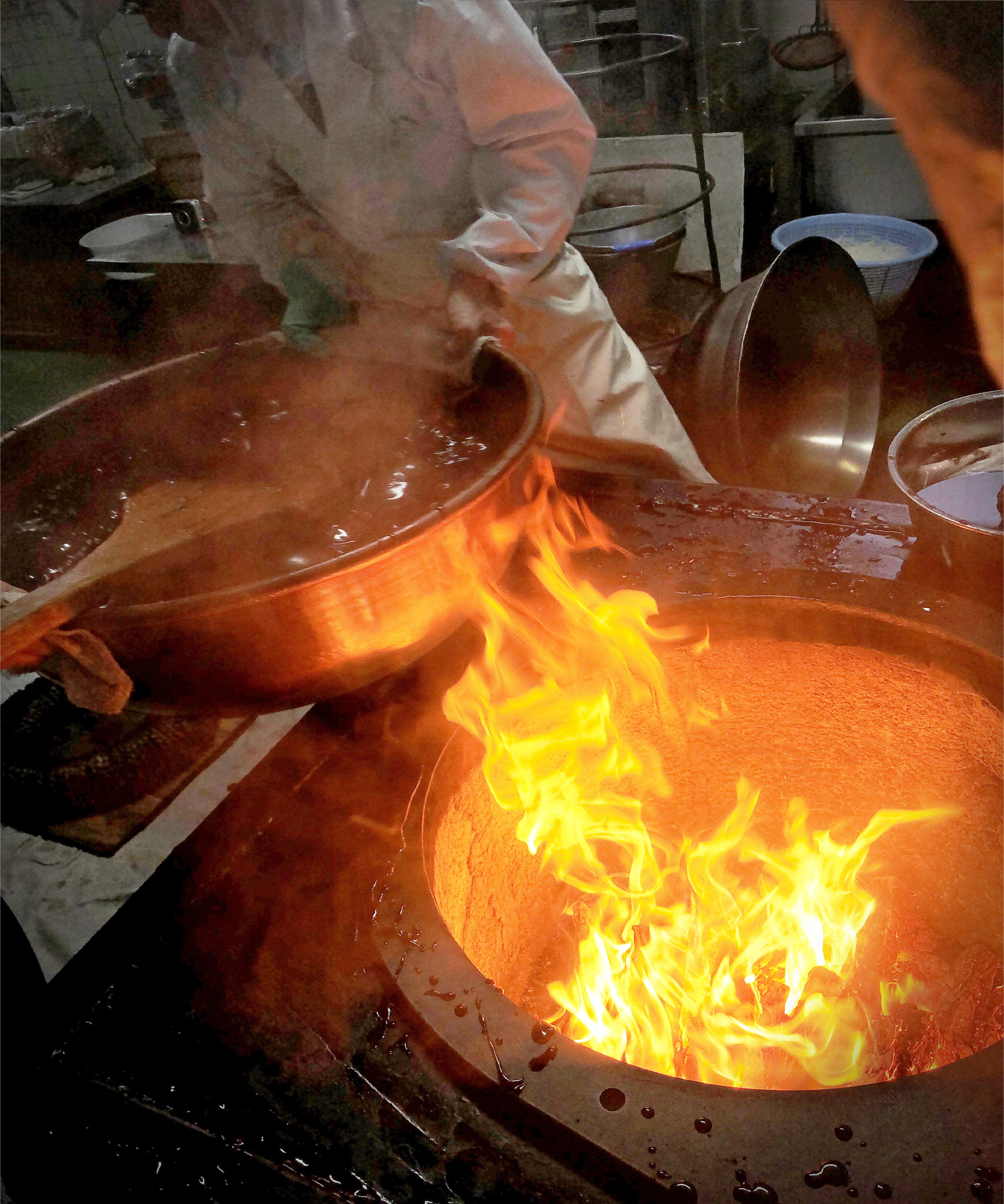 玉 嶋屋 玉 羊羹 お 取り寄せ