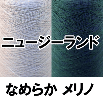 【10/29】ニュージーランドメリノ混
