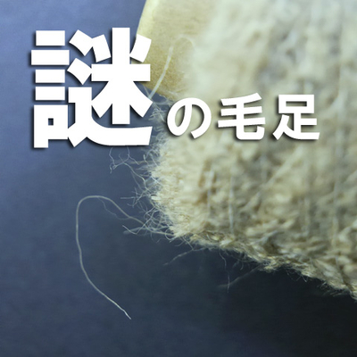 ベビーアルパカ入りブークレー