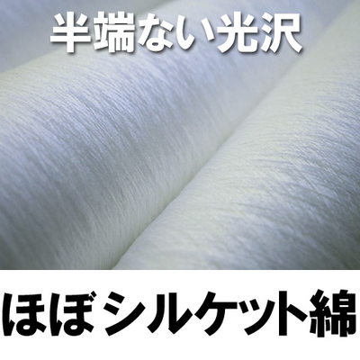 50g【超光沢】ほぼシルケット加工綿