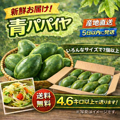 新鮮お届け！　岡山県産青パパイヤ サイズいろいろ　4.6キロ以上　産地直送　送料無料