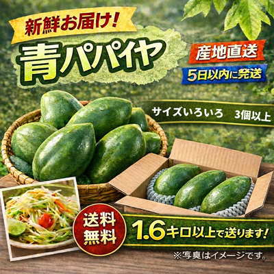 新鮮お届け！　岡山県産青パパイアサイズいろいろ1.6キロ以上　産地直送　送料無料