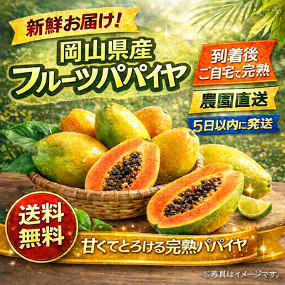 到着後ご自宅で完熟　岡山県産フルーツﾊﾟﾊﾟｲヤ1.6キロ以上　送料無料