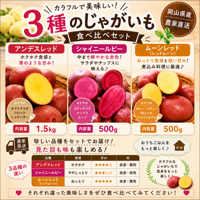 カラフルで美味しい　３種のじゃがいも食べ比べセット