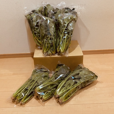 季節の野菜 白い葡萄オンラインストア